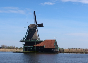 Wim 141